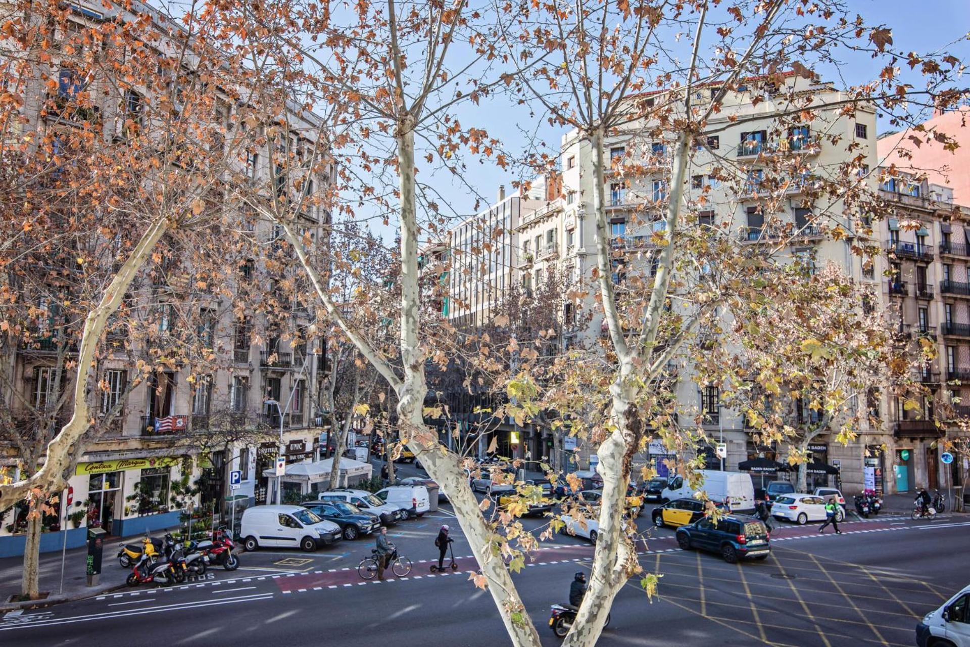 Comte Urgell Apartment Barcelona Ngoại thất bức ảnh